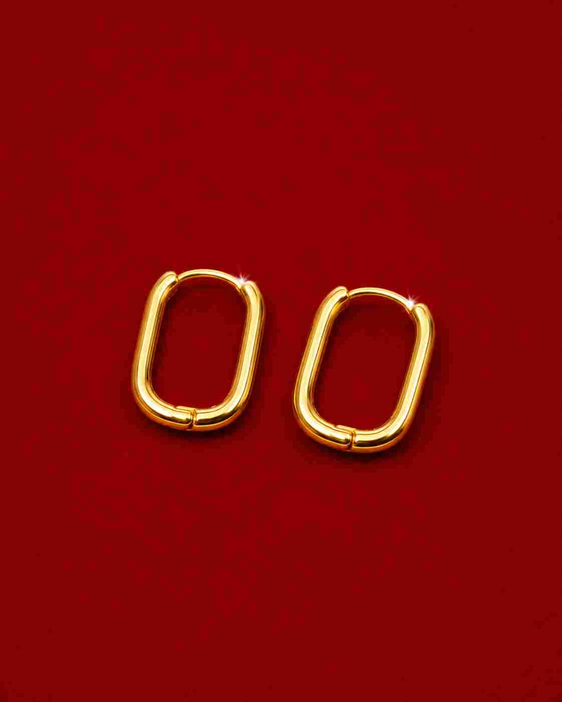 Golden Edge Earrings