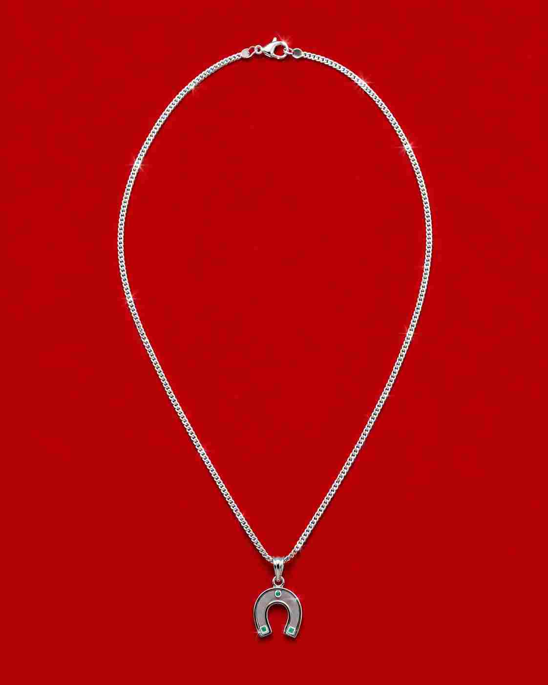 Lucky Horseshoe Necklace