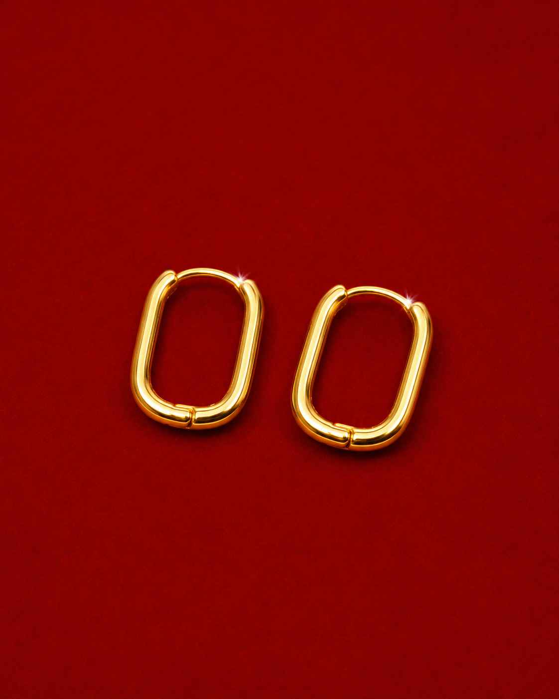 Golden Edge Earrings