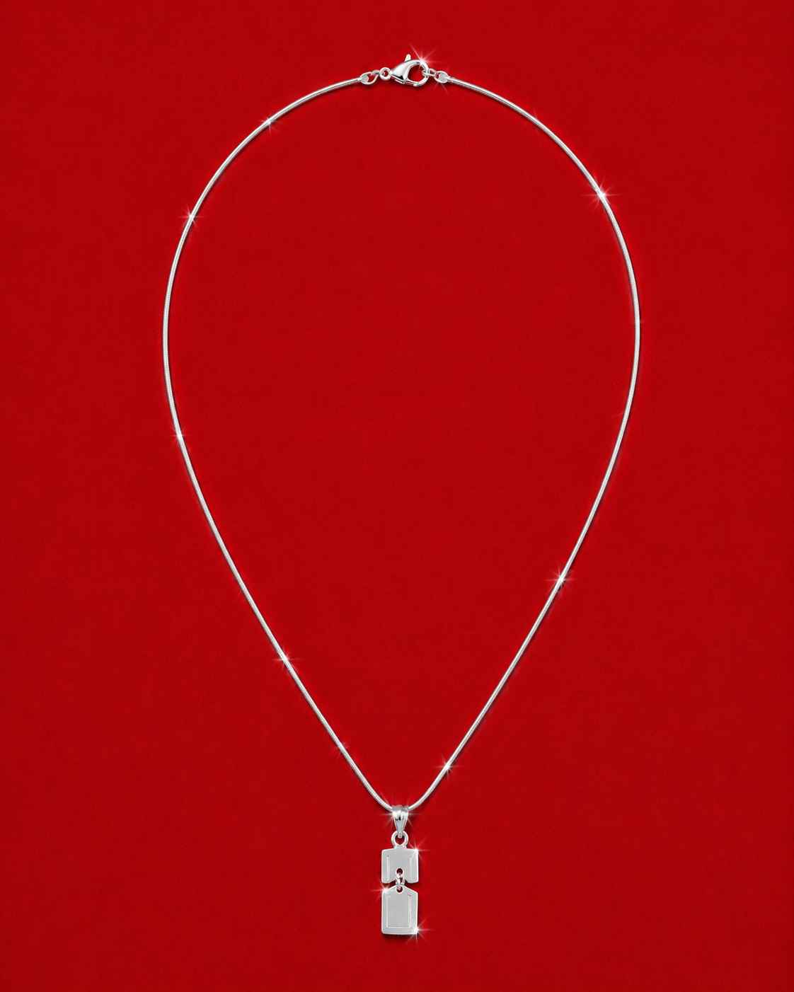Divided Self Necklace