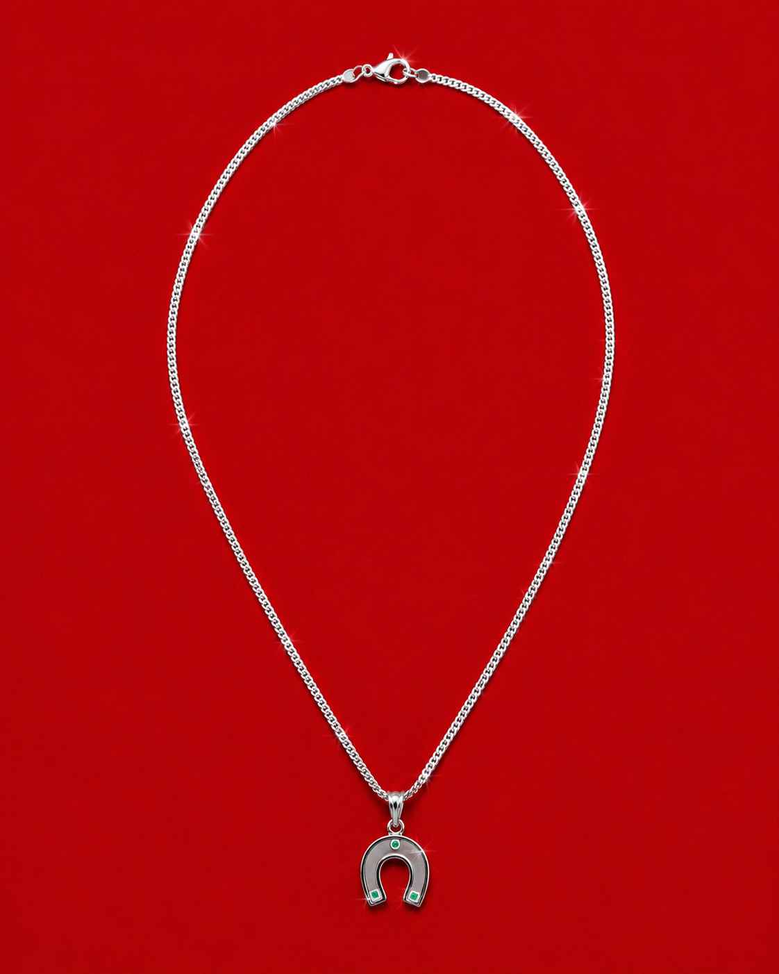 Lucky Horseshoe Necklace
