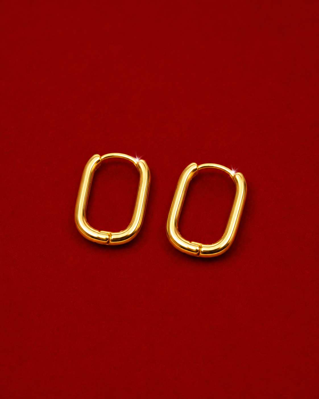 Golden Edge Earrings