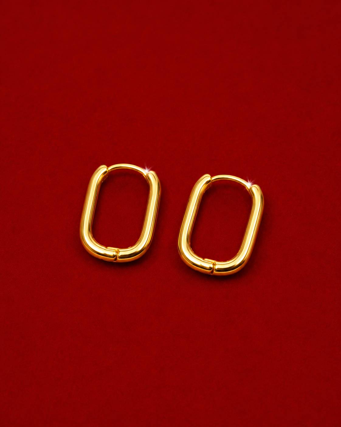Golden Edge Earrings