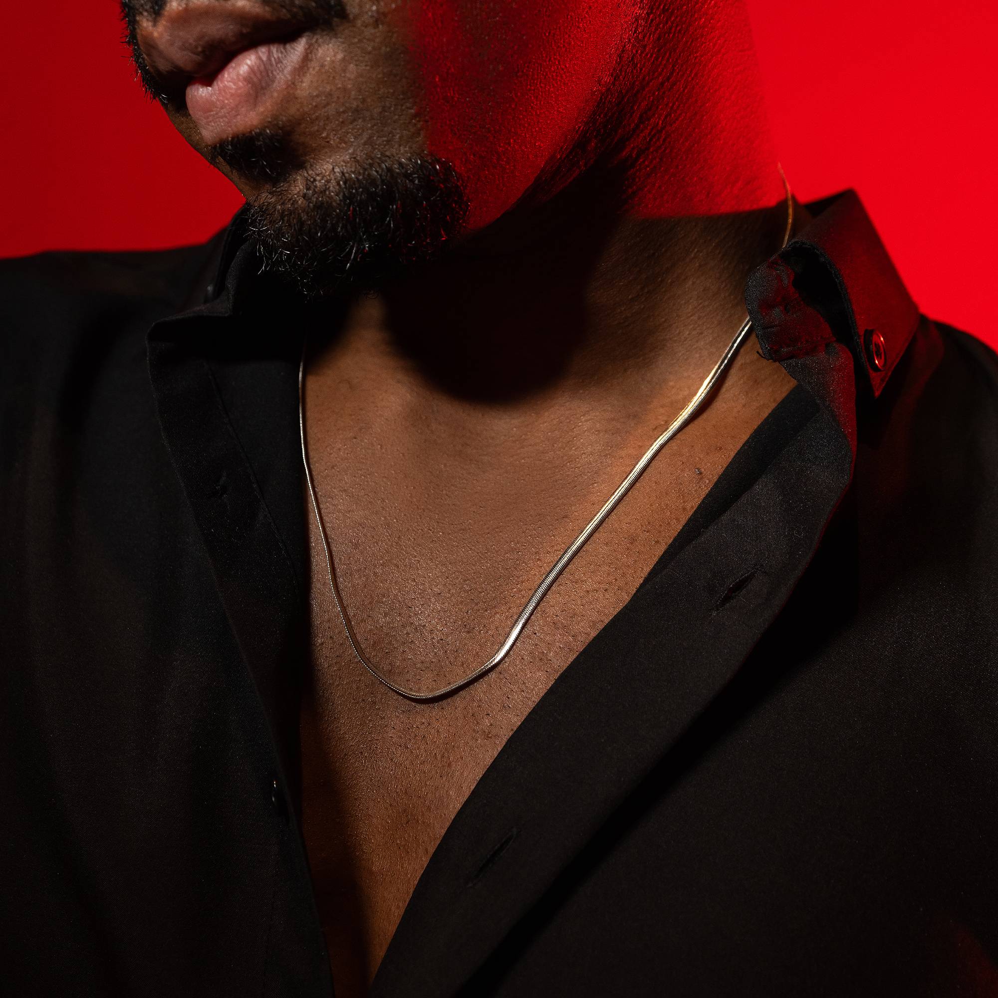 Everyday Silver Necklace - silver