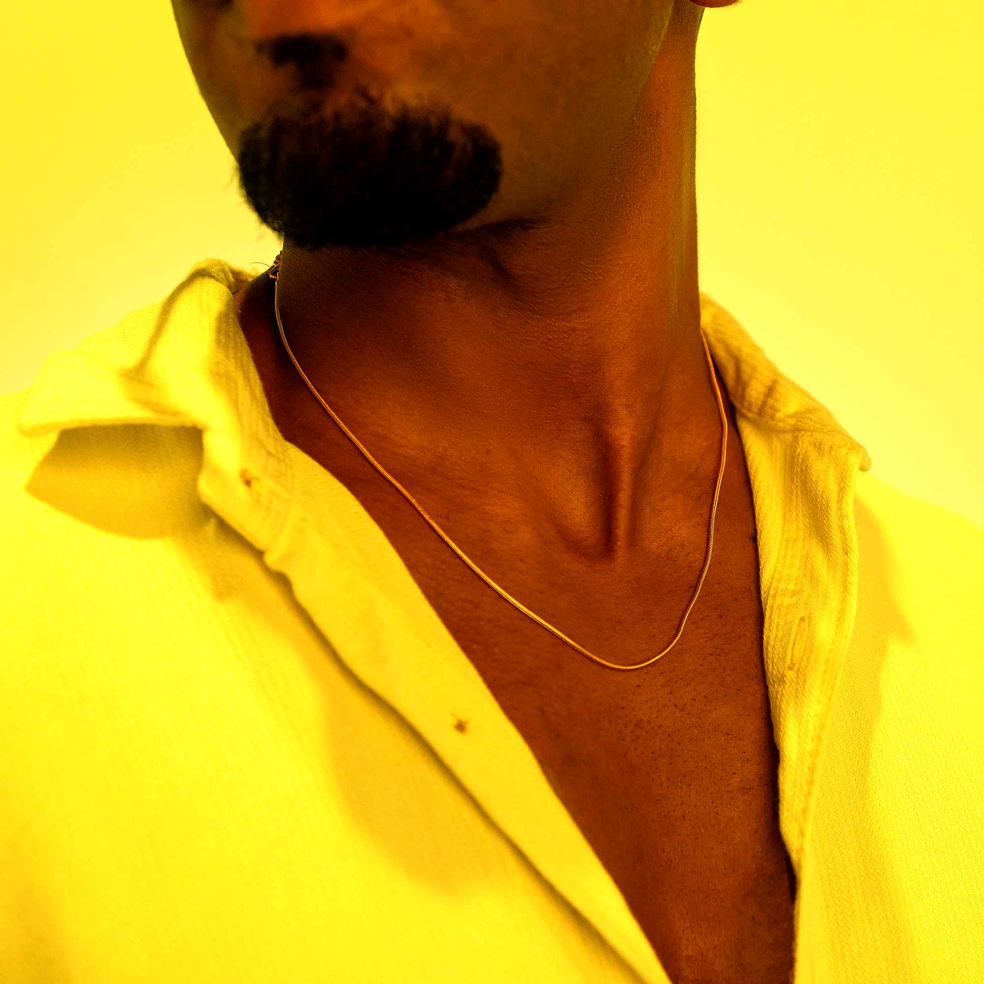 Golden Verge Necklace